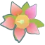 マンゴーの花言葉