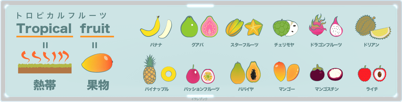 マンゴーの栄養は肌にいい マンゴーの等級と太陽のタマゴ Mango