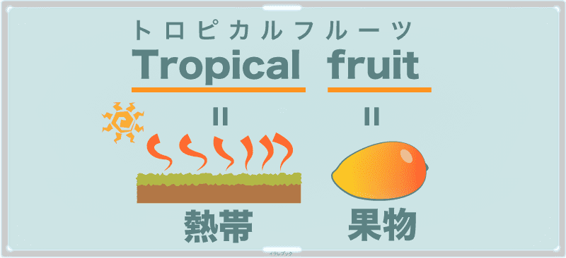 トロピカルフルーツ