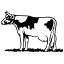 アーモンドミルクの絵文字