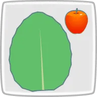 アップルミント