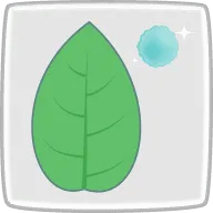 キャンディミント