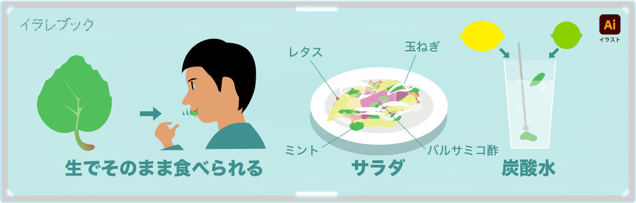 ミントの食べ方