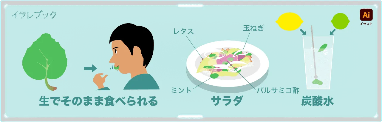ミントの食べ方