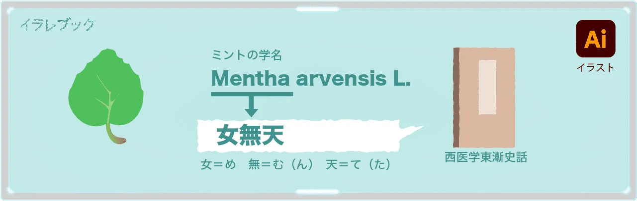 ミントの漢字