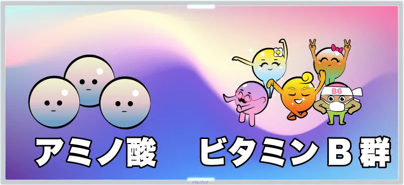 必須アミノ酸とビタミンB群