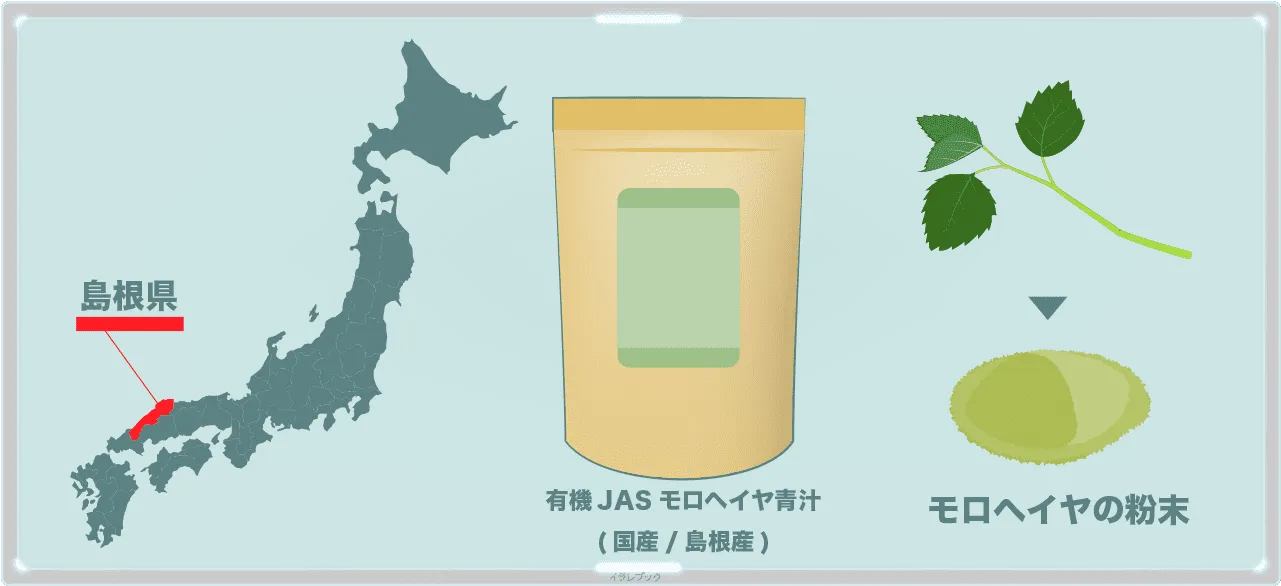 原料屋の有機JASモロヘイヤ(島根産)