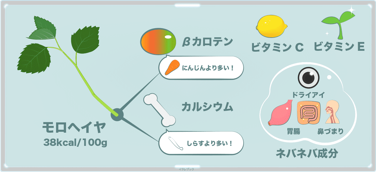 モロヘイヤのカロリーは100gあたり38Kcal。βカロテンは人参より多く、カルシウムもしらすより多い。ビタミンCやビタミンEも豊富でねばねば成分が胃腸やドライアイ、鼻づまりにも効く