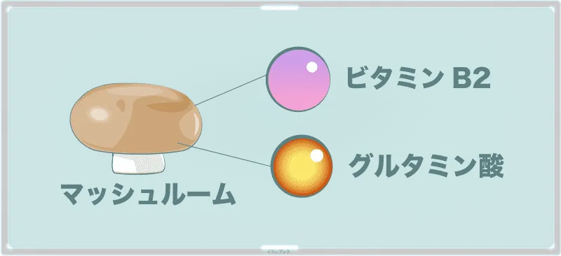 世界で最も食べられているきのこ。ビタミンB2とグルタミン酸たっぷり