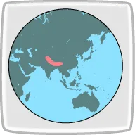 なめこヒマラヤ