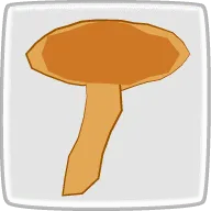 乾燥なめこ