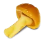 栄養一覧