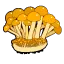 株なめこ
