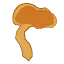 乾燥なめこ