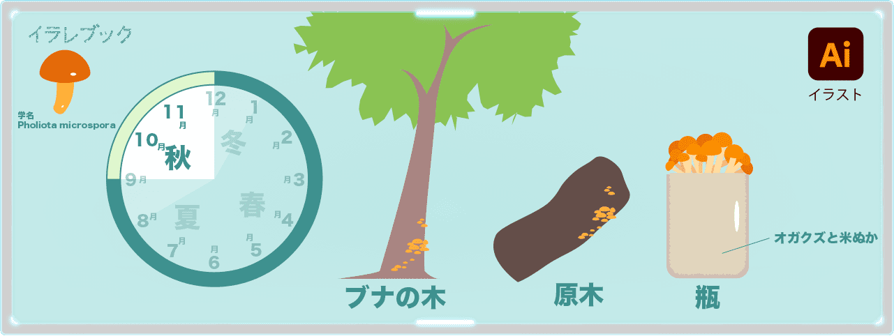 なめこぬめり成分の栄養を知ろう 株なめこと乾燥なめこ賞味期限も Nameko