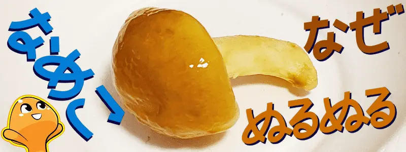 「なめこ」なぜぬるぬる？