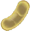 納豆菌の絵文字