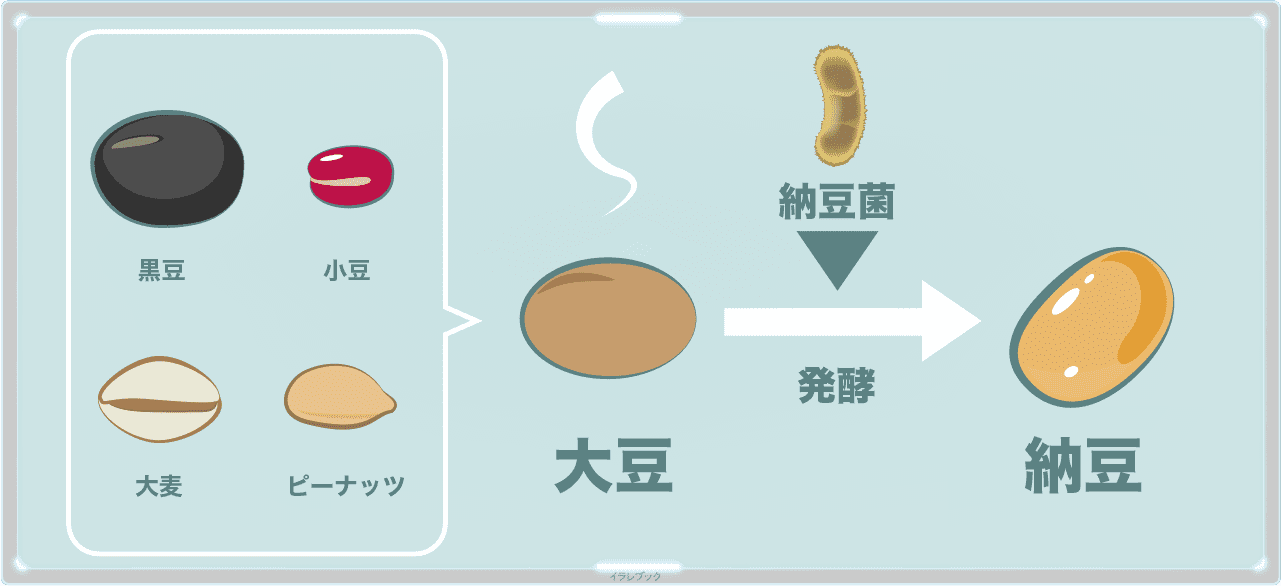 納豆のすべて 栄養 歴史 テーマパーク おすすめトッピング診断も Natto