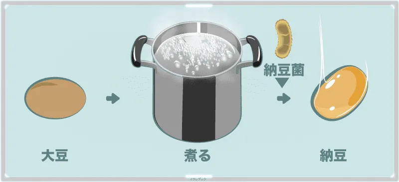 煮た大豆に納豆菌をつけて発酵させた納豆