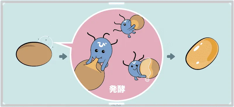 発酵