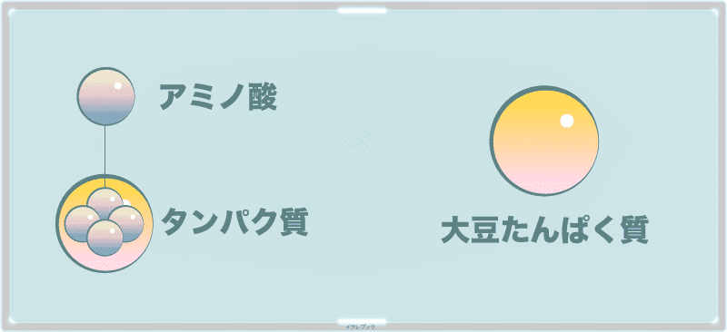 タンパク質はアミノ酸の集合体