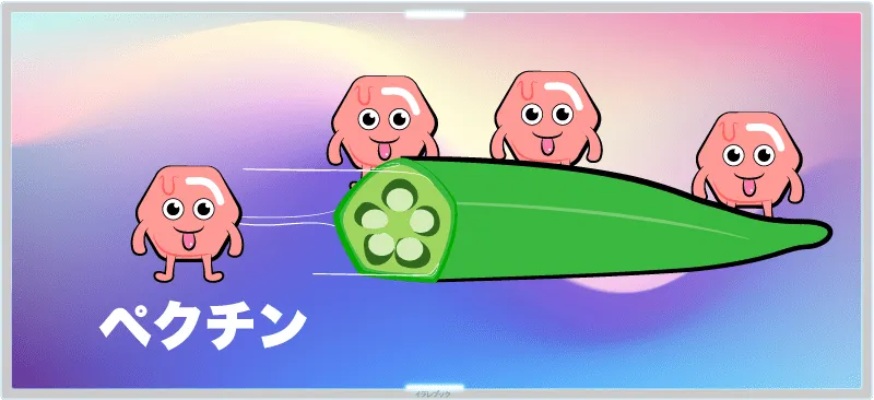 オクラはペクチンも多い