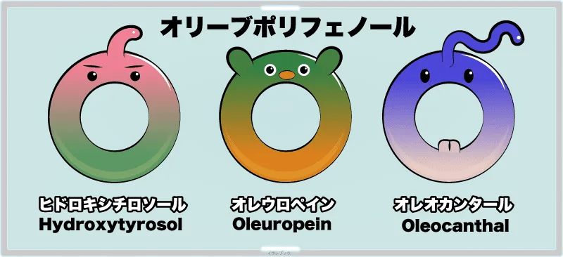 Hydroxytyrosol（ヒドロキシチロソ―ル）◆Oleuropein（オレウロペイン）◆Oleocanthal（オレオカンタール）
