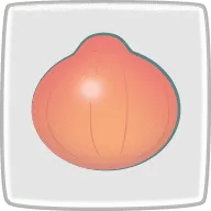 玉ねぎ