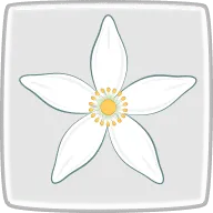 オレンジの花