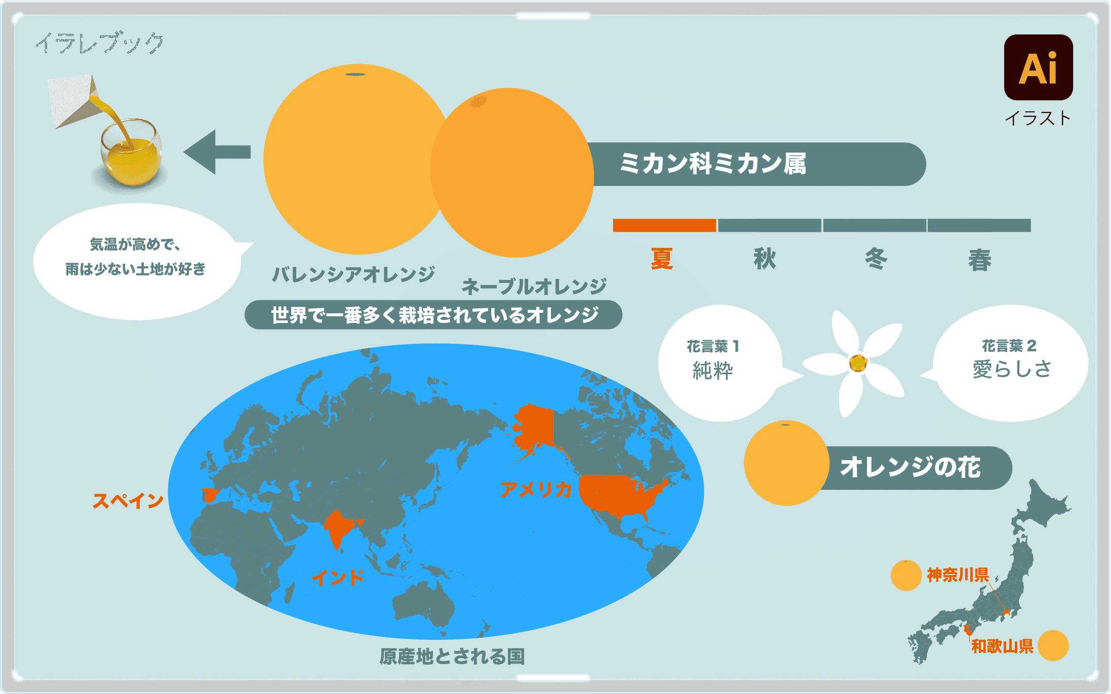 オレンジジュース 栄養と効果 オレンジジュースの原材料と色の効果 Orangejuice