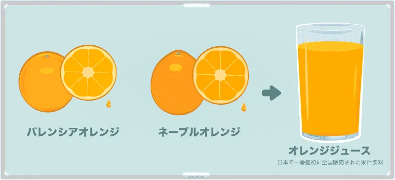 バレンシアオレンジやネーブルオレンジを絞ったオレンジジュース