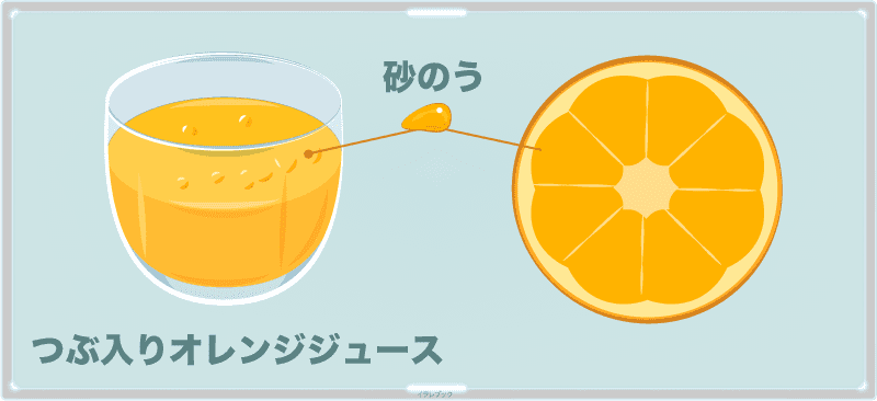 つぶつぶオレンジジュースの粒は、オレンジの砂のう