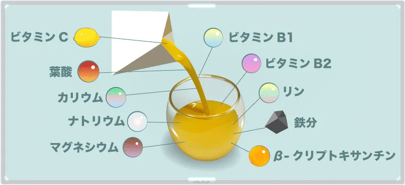 オレンジジュースの栄養一覧