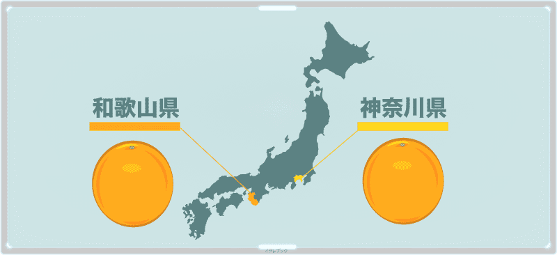 日本の生産地 和歌山県。それに神奈川県