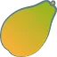 パパイヤ