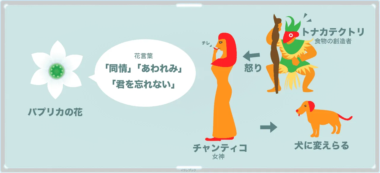 パプリカの詳細
