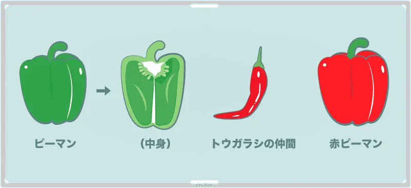 ピーマンの中身と唐辛子や赤ピーマン
