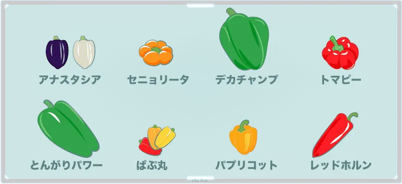 ピーマン＆パプリカの品種色々