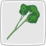 パセリ