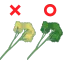 パセリの選び方