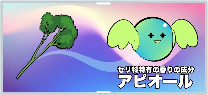 アピオールはセリ科特有の香りの成分