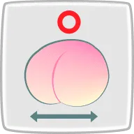 豆