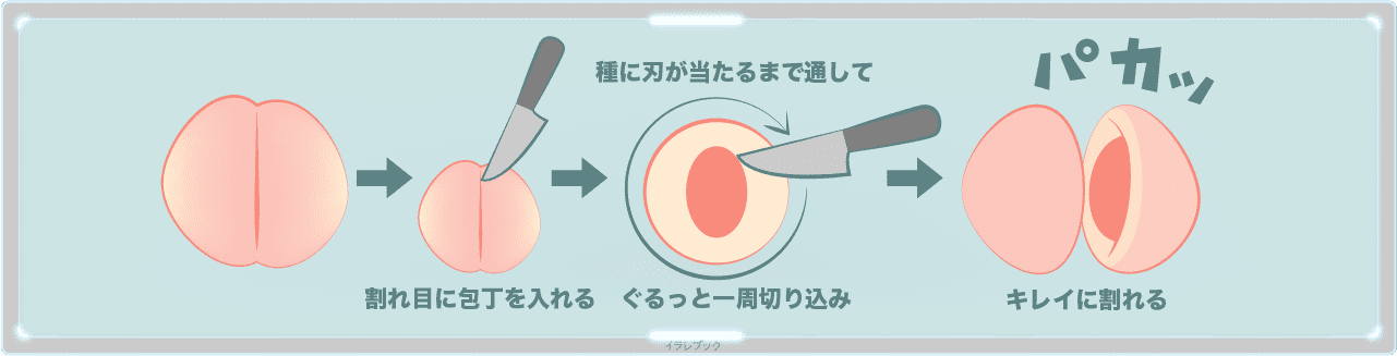 桃は割れ目に包丁を入れる