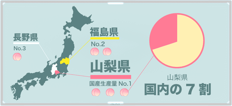 日本での桃の生産量トップは山梨県