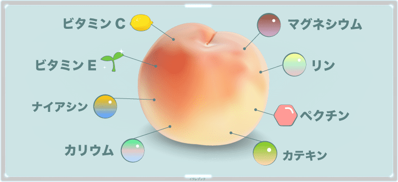 桃の栄養を図解