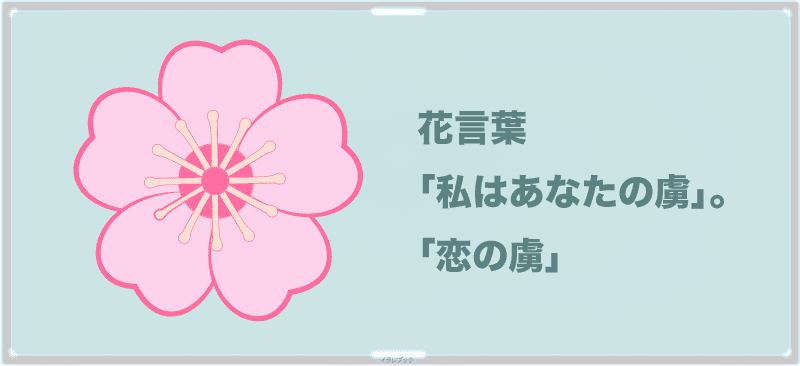桃の花言葉