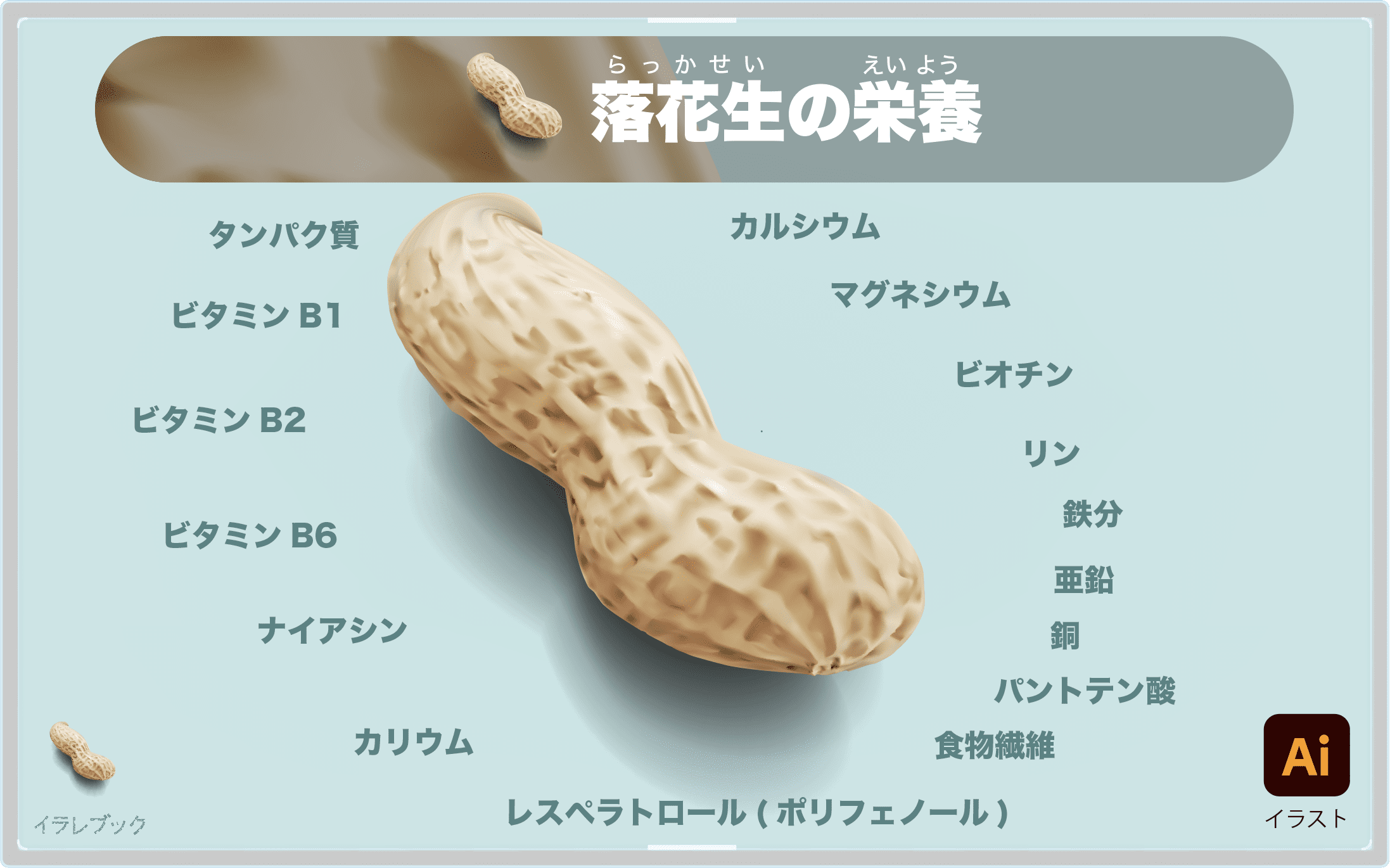 落花生(ピーナッツ)の栄養