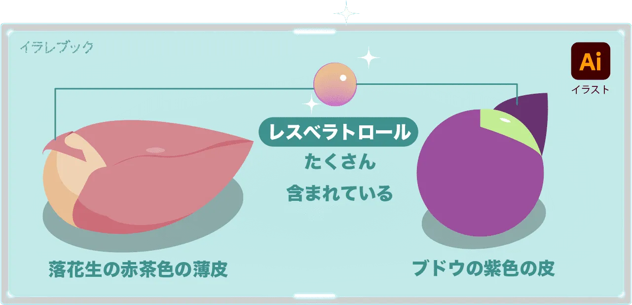 レスベラトロールはブドウの紫色の皮や落花生の赤茶色の薄皮にたくさん含まれている