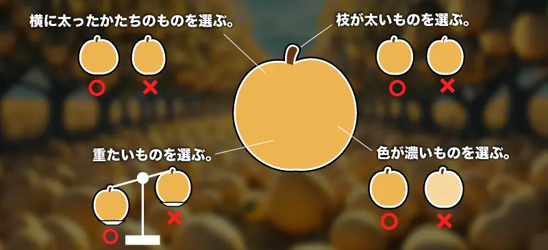 美味しい梨の見分け方のイメージ