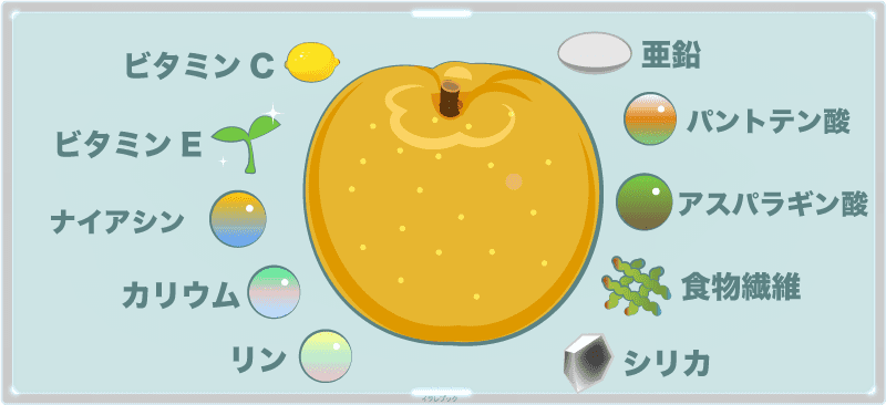 梨の栄養素